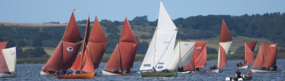 Hjarbæk Borgerforening