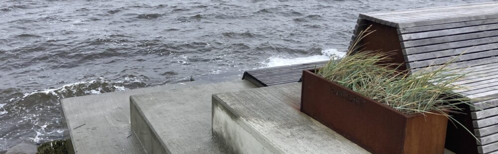 Hjarbæk Borgerforening