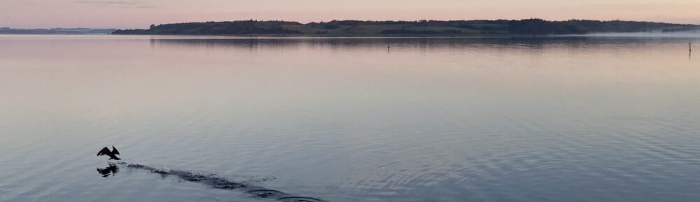 Hjarbæk Borgerforening